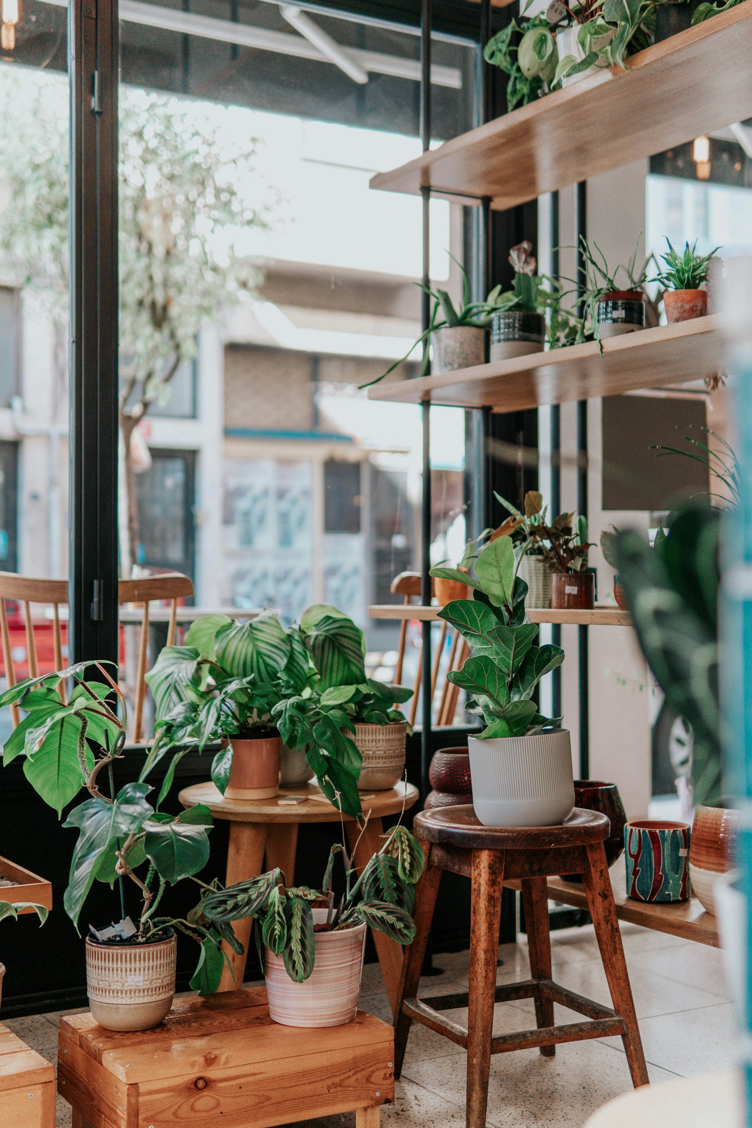 Kunstplanten